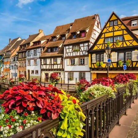 Des Oiseaux コルマール